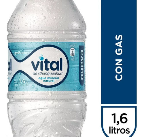 Agua Vital Mineral Con Gas 1.6 L 6 Unidades.
