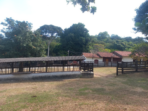 Fazenda Com Ótima Localização