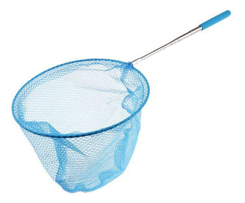/ 2 Rede Líquida Do Inseto Da Borboleta Azul Como Descrito