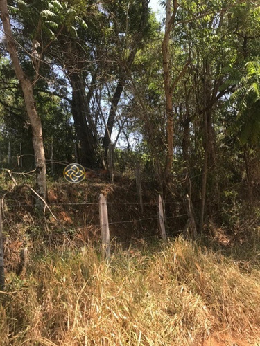 Imagem 10 de 10 de Chacara Em Bueno Brandão - Ch00021 - 69521937
