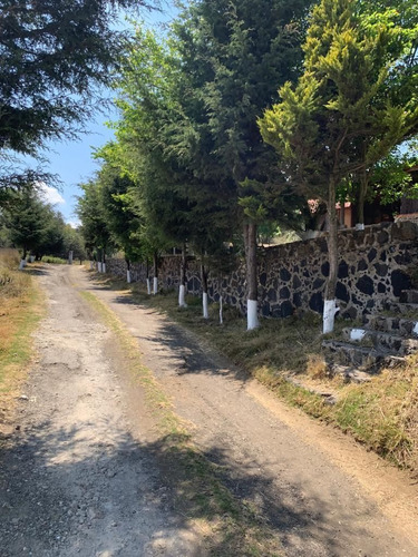 Terreno Rústico En Residencial Los Cedros