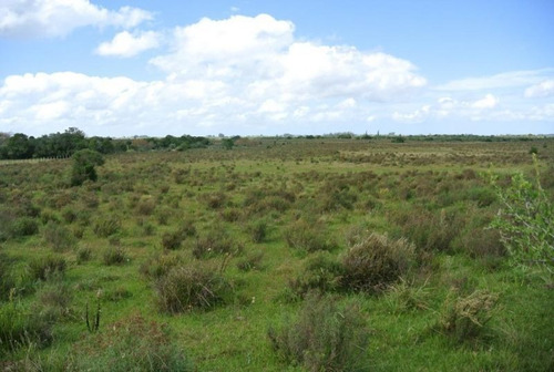 Campo En Venta