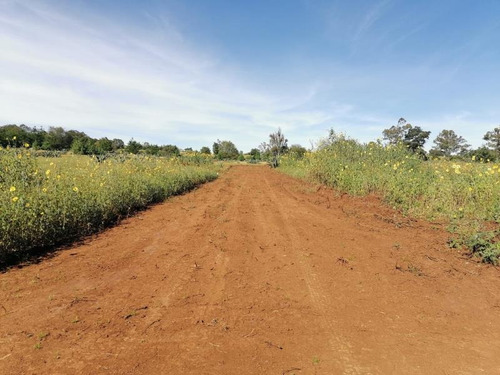 Imagen 6 de 6 de Terreno En Venta ¡¡construye Tu Casa De Descanso En El Pueblo Mágico Huasca En Hidalgo!!