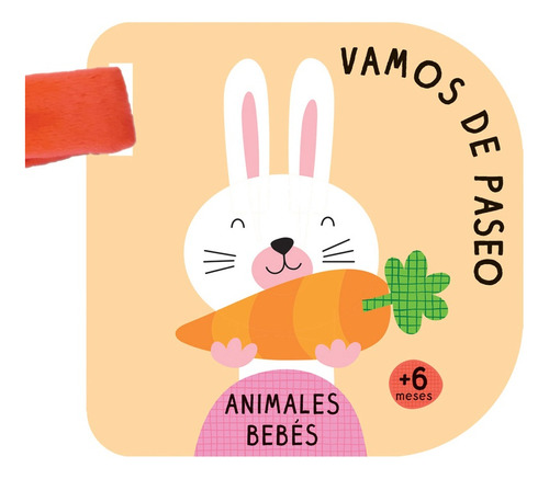 Libro Vamos De Paseo - Animales Bebes - Varios Autores