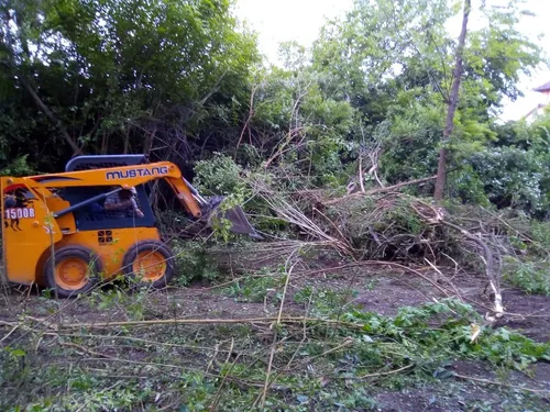 Limpieza Y Desmonte De Terrenos . Alquiler Camion Y Bobcat