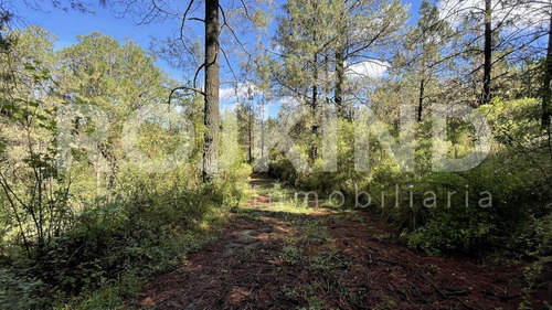 Imagen 10 de 27 de Terreno En Venta Salazar, Estado De México