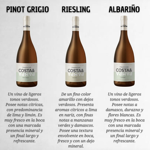 Imagen 2 de 10 de Vino Trapiche Costa & Pampa Pinot Grigio + Mix. Cuotas