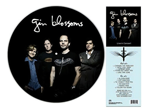 Lp Live In Concert - Picture Disc Vinyl - Gin Blossoms
