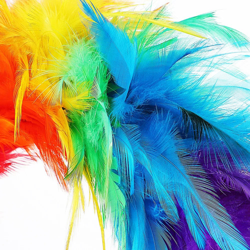 Ya Baile De Fiesta Con Tocado De Aro De Plumas De Colores