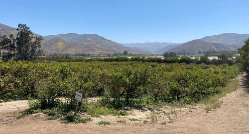 Parcela En Valle Del Elqui