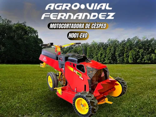 Motocortadora De Césped, Malezas Modelo Evo Motor B&s A/m