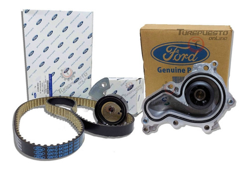 Distribucion Bomba Original Ford Ecosport 1.5 3cilind Dragon