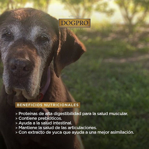 Alimento Balanceado Premium Dogpro Senior 7,5 Kg