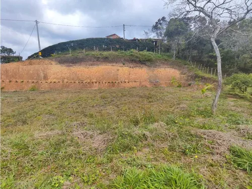 Lote En Rionegro Vereda La Playa