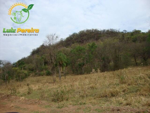 Imagem 3 de 6 de Fazenda Á Venda Em Bandeirantes - Ms - 1.020 Hectares (dupla Aptidão) - 2026