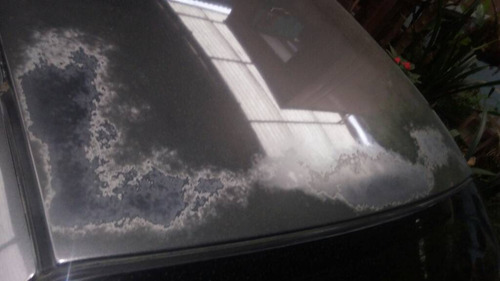 Imagen 6 de 10 de Nissan Sentra B15