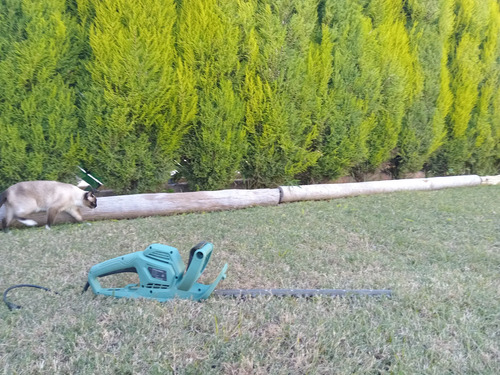 2896915690