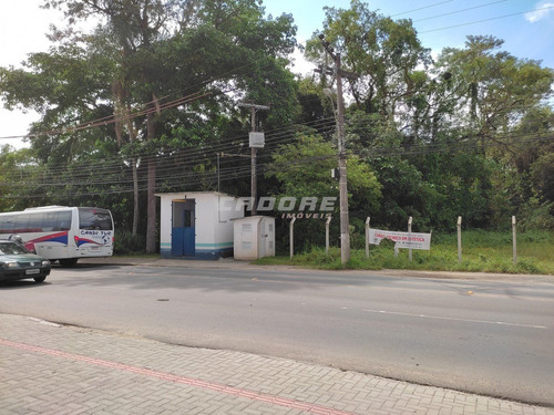 Imagem 10 de 13 de Ótimo Terreno Comercial /residencial No Bairro Velha Central - 3052462v
