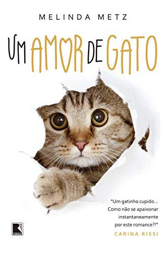 Libro Um Amor De Gato