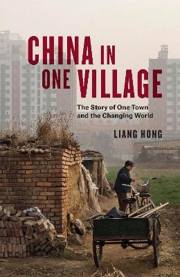 Libro China In One Village : The Story Of One Town And Th...