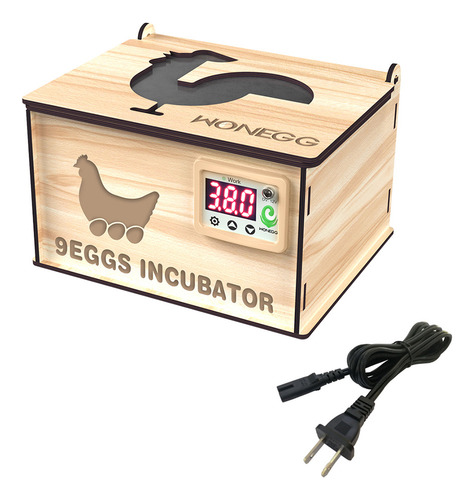 Criadeiras Para Incubadoras De Codornas De Frango Bird With