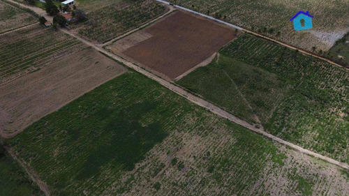 Imagem 11 de 30 de Granja Com 13 Hectares E Plantação Rentabilizando - Ch0065