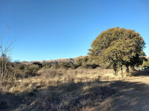 Imagen 29 de 30 de Terrenos En Las Sierras