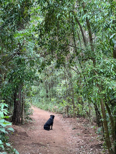 Terreno Rincón Jaímes