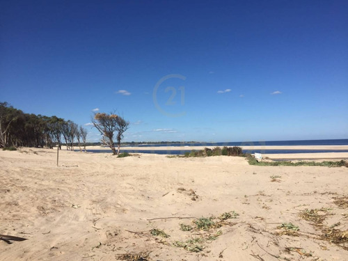 Imagen 10 de 10 de Oportunidad De Terreno Frente Al Mar En Parque Del Plata Sur