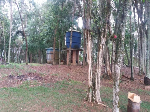 Imagem 20 de 30 de Sitio - St00010 - 33445432
