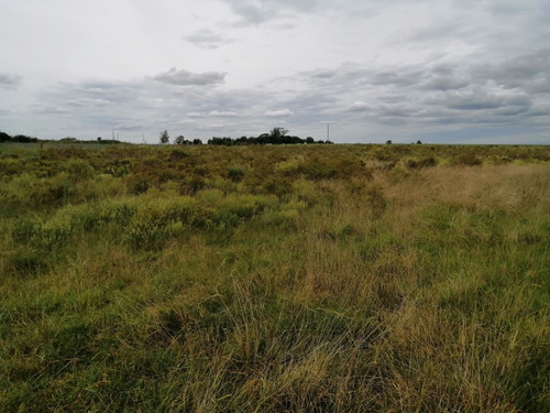 Imagen 9 de 12 de Chacra A La Venta - A 2 Km De San Antonio - 5 Hás