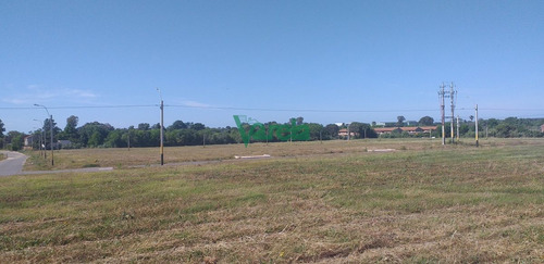 Imagen 7 de 10 de Terrenos En Venta En Lagomar, Ii Etapa , Fraccionamiento Almenara