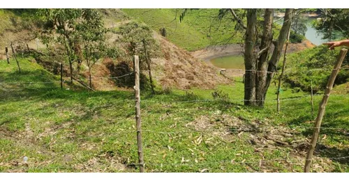Rhbr-10475 (lote , Guatape)