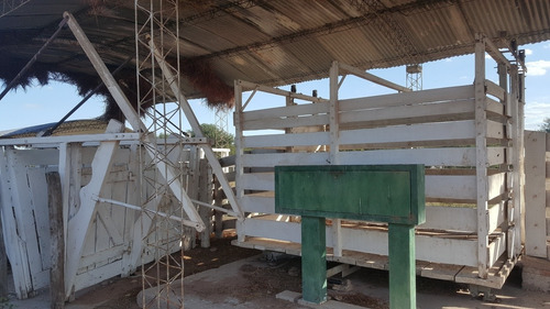 Imagen 9 de 14 de Oportunidadcampo Ganadero 1500ha Pozo Nuevo Cordoba 350 U$s