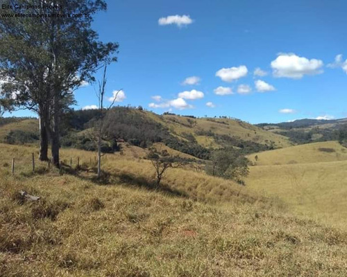 Imagem 29 de 30 de Fazenda - Fa00043 - 70710454