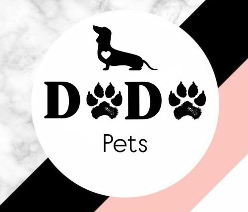 Cucha Cama Grande Con Manta Dodopets 100cm Gris Redonda