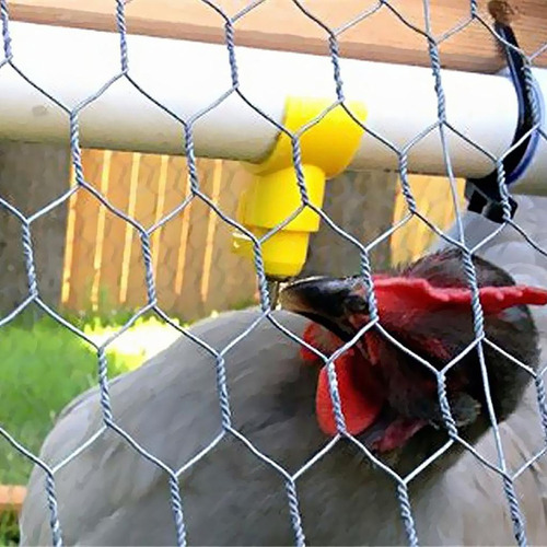 Aplicável A 10 Piezas De Niple De Pollo De Aves De Corral