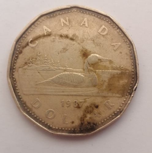 #100 1 Moneda De 1 Dólar Canadiense 1987