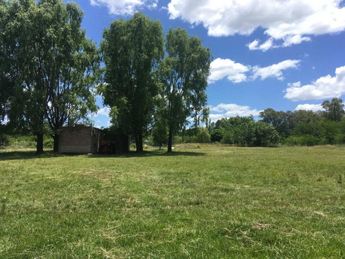 Imagen 7 de 30 de Venta Terreno 7124 M2 Matheu Belen De Escobar