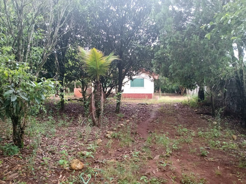 Chácara 1,1/2 Alqueire 36000m2 Casa Simples,100mts Do Asfalto,37 Km De Itapetininga,localização Nobre - Ch00053 - 68982171