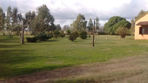 Imagen 10 de 26 de Latorre Prop Vende Casa Quinta 3 Amb , 8600 M2 De Parque