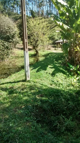 Imagem 25 de 29 de Chácara 4,91 Alqueires, 2 Alqueires Com Eucaliptos Em Ponto De Corte, Casa Sede, 3 Dormitórios, Lagos Com Peixes, Nascente, Próximo A Represa - Ch00106 - 69714090