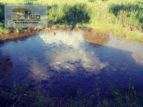 Imagem 2 de 15 de Chácara Em Centro Socorro - Socorro - 2197