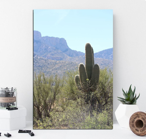 Vinilo Decorativo 20x30cm Cactus Cardon Puna Noroeste