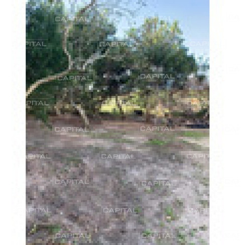 Imagen 13 de 13 de Terreno En Venta Manantiales Punta Del Este - Manantiales Altos De Punta Piedras-ref:29050