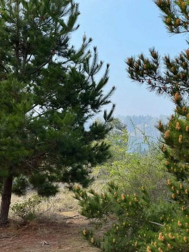 Terreno En Algarrobo Norte, Excelente Ubicación, 5.000 M2.