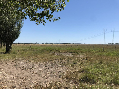 Imagen 9 de 12 de Campo En Venta En La Plata Ruta 215 Dacal Bienes Raices