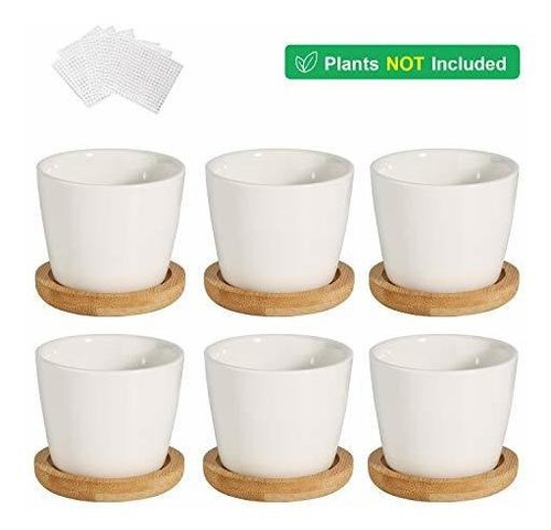 Imagen 4 de 9 de T4u - Macetas Pequeñas Blancas Para Plantas Suculentas De 2