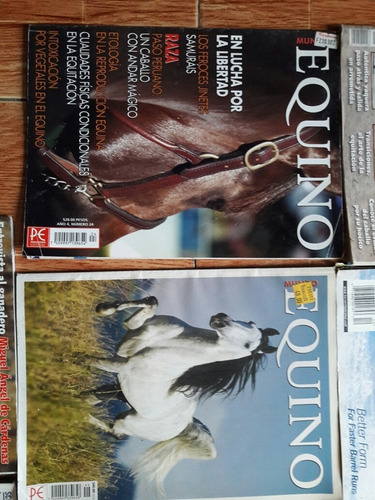 Lote De 10 Revistas De Caballos