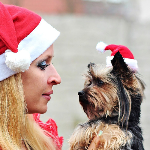 Navidad Nuevo Gorro Rojo De Papá Noel Ropa Para Mascotas